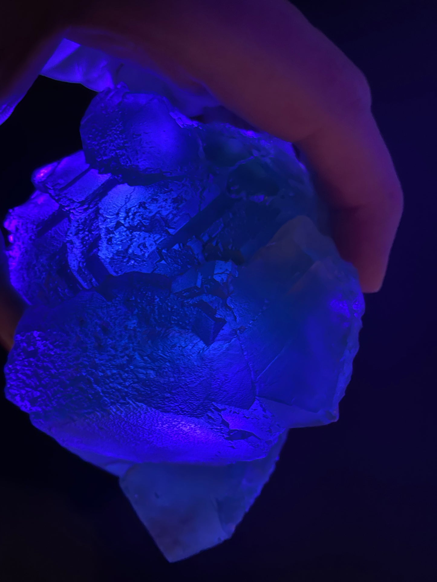 Under UV light