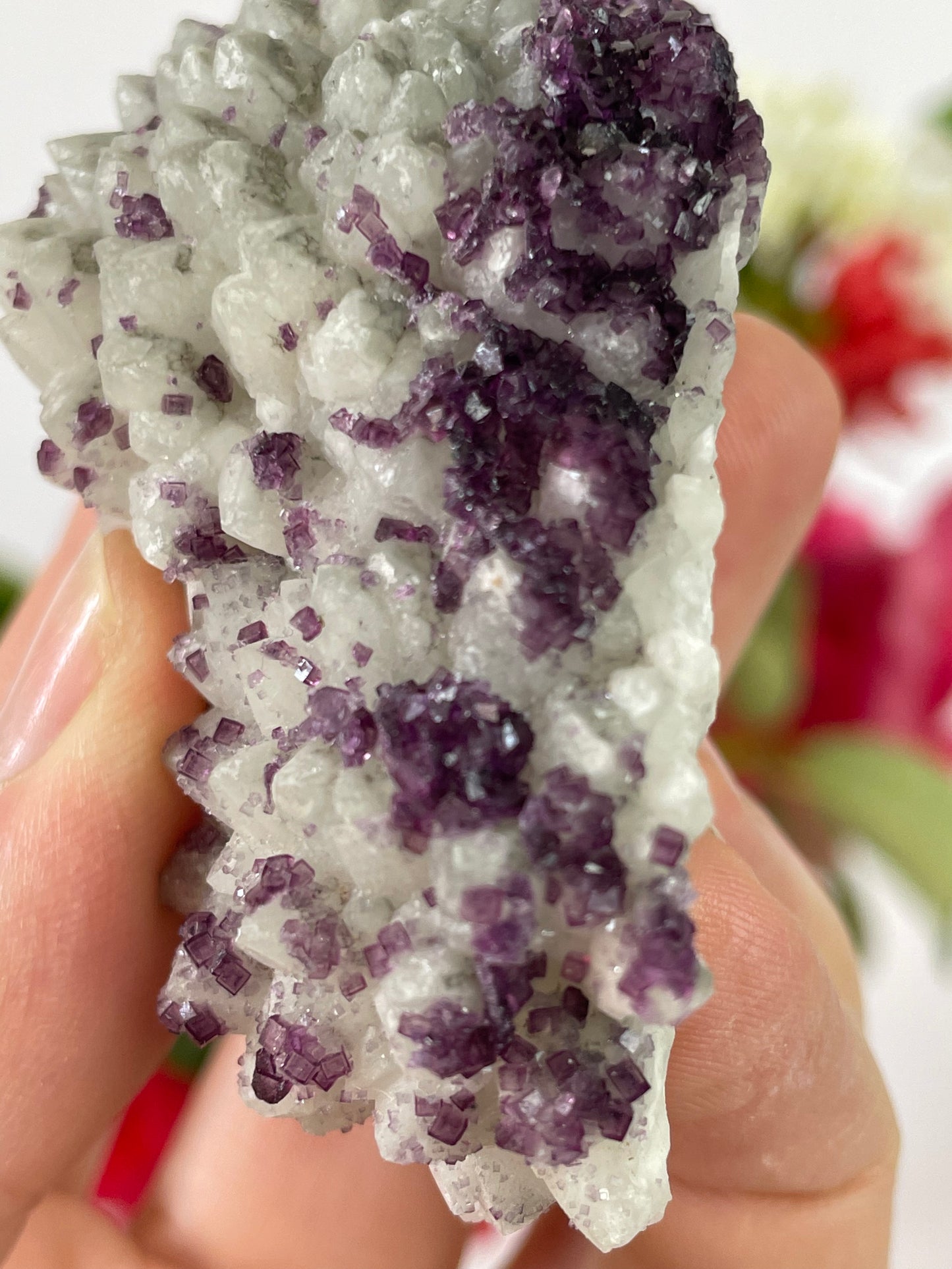 Fluorite Small Purple Cubes on Quartz from Fujian Provine, China