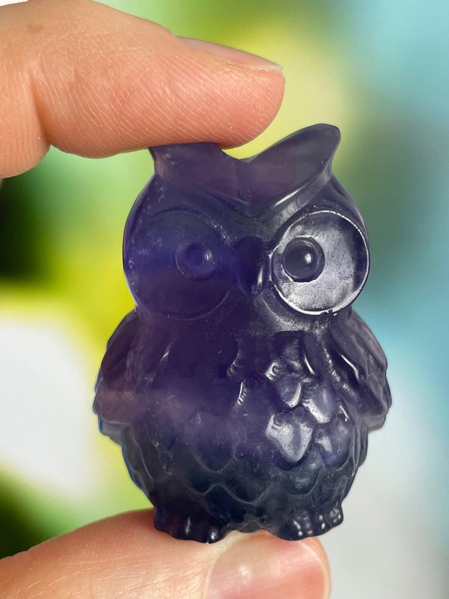 Fluorite Owl Violet-Green
