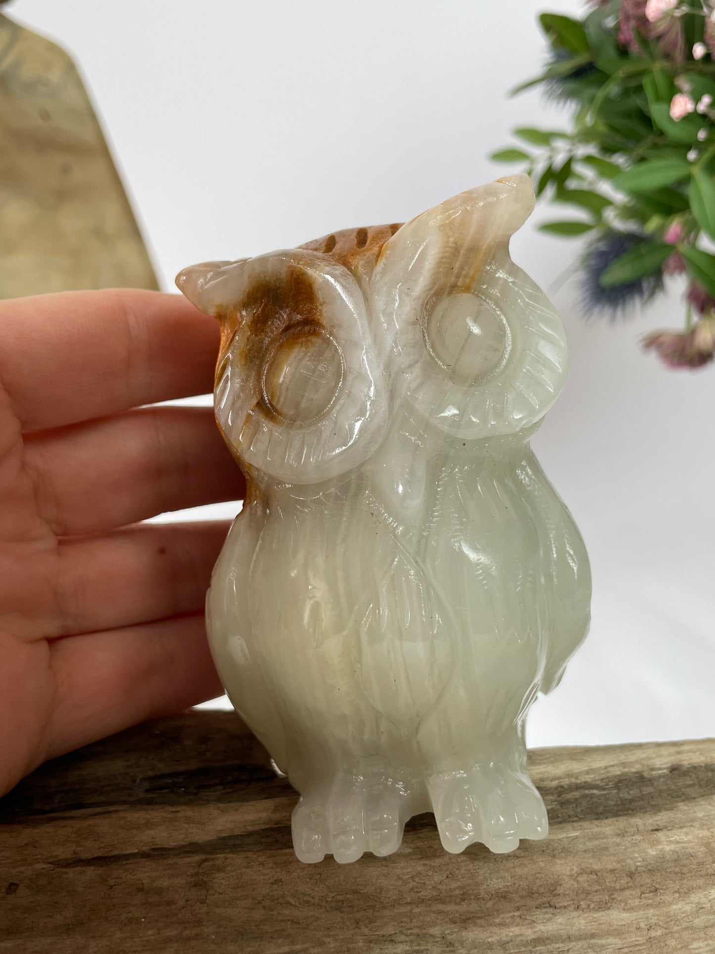 Jade Owl White Brown I
