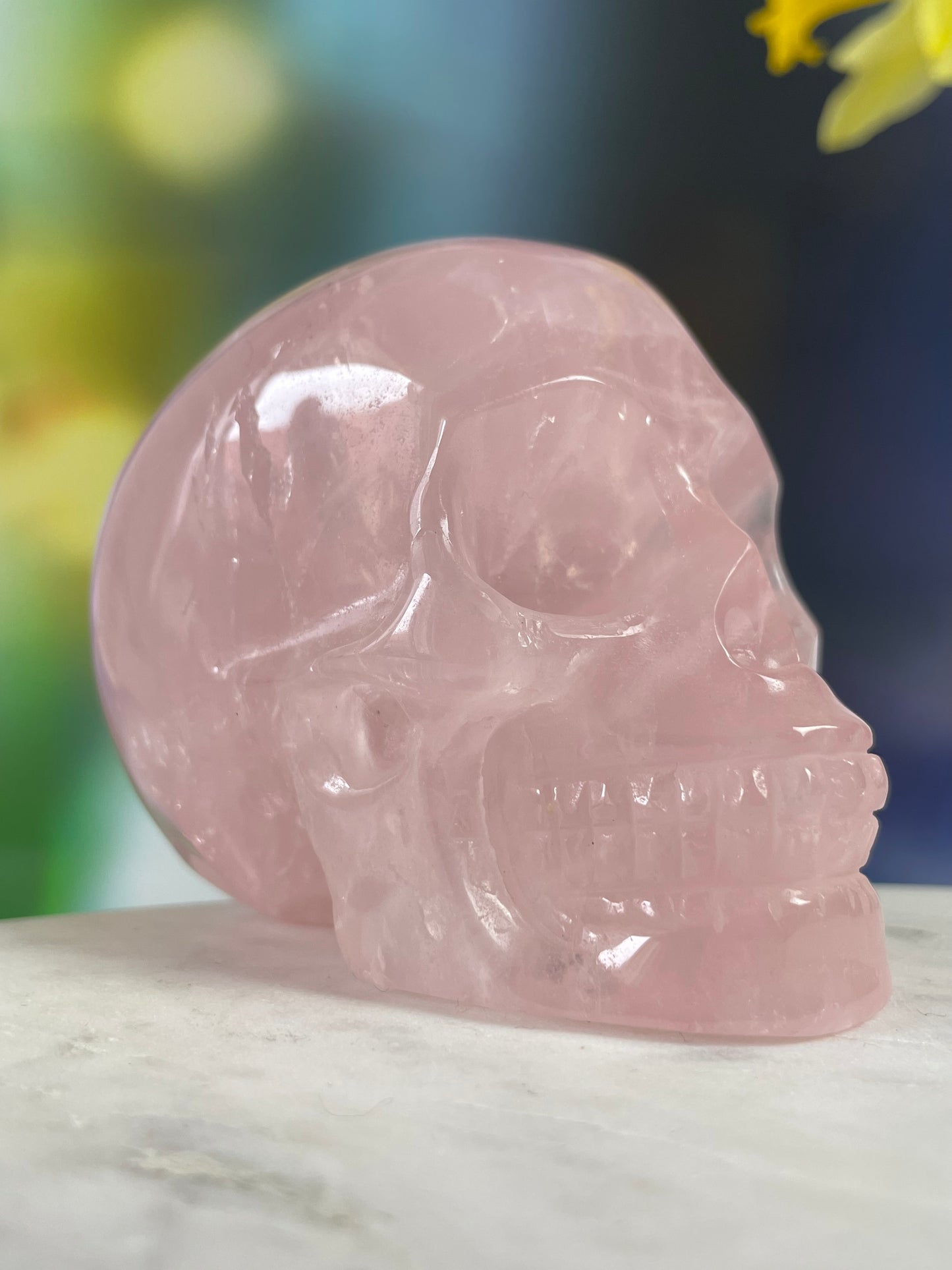 Rose Quartz Skull L
