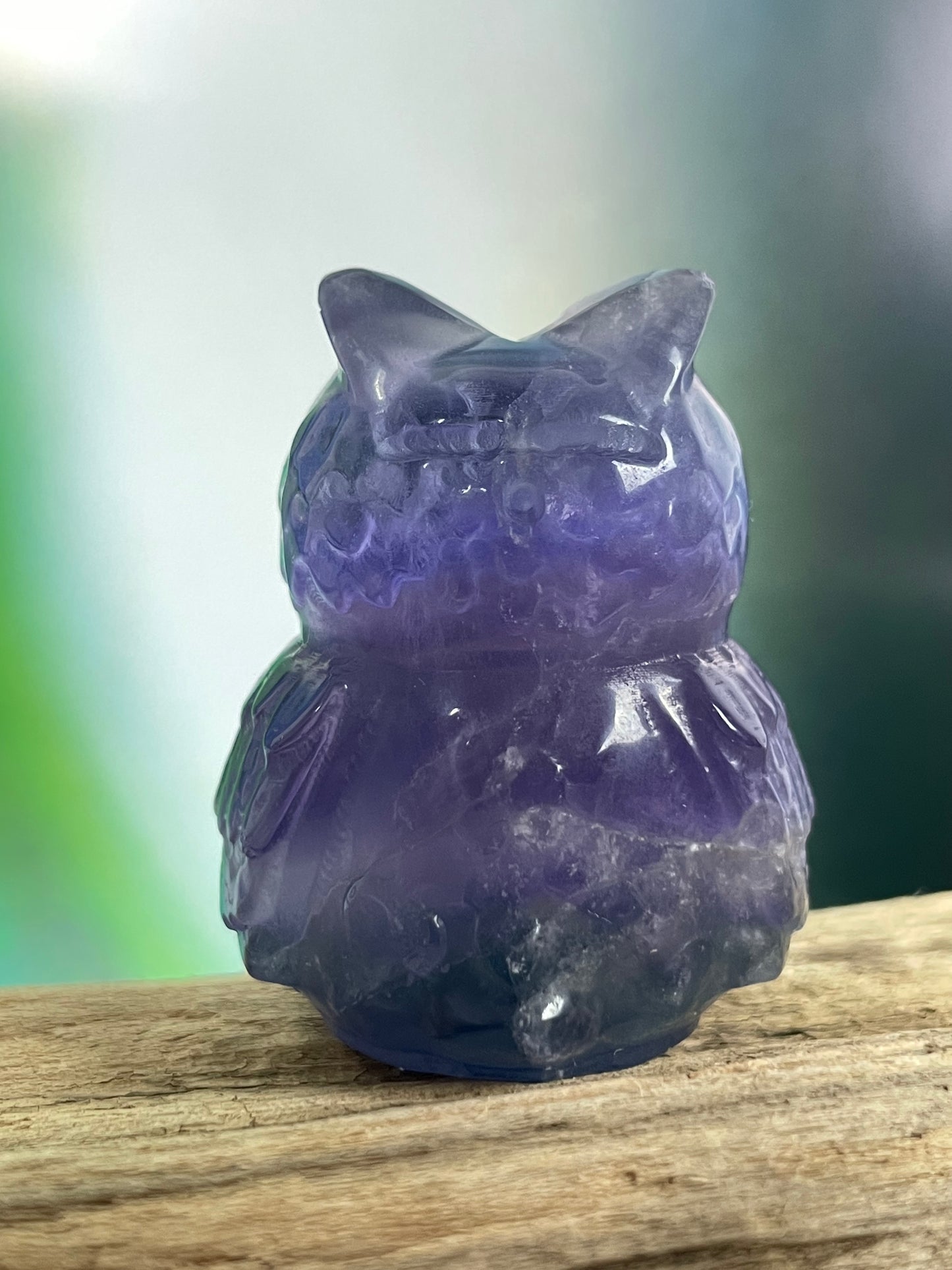 Fluorite Owl Violet-Green