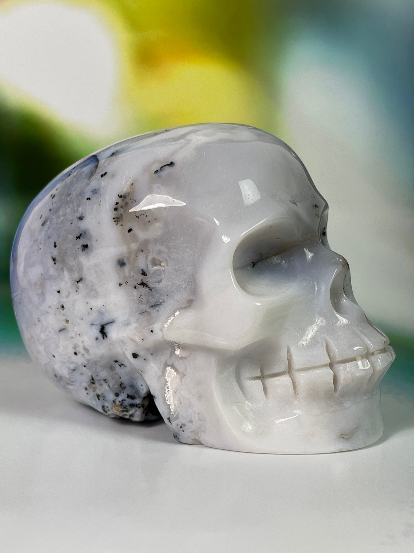 Dentritic Agate Skull L
