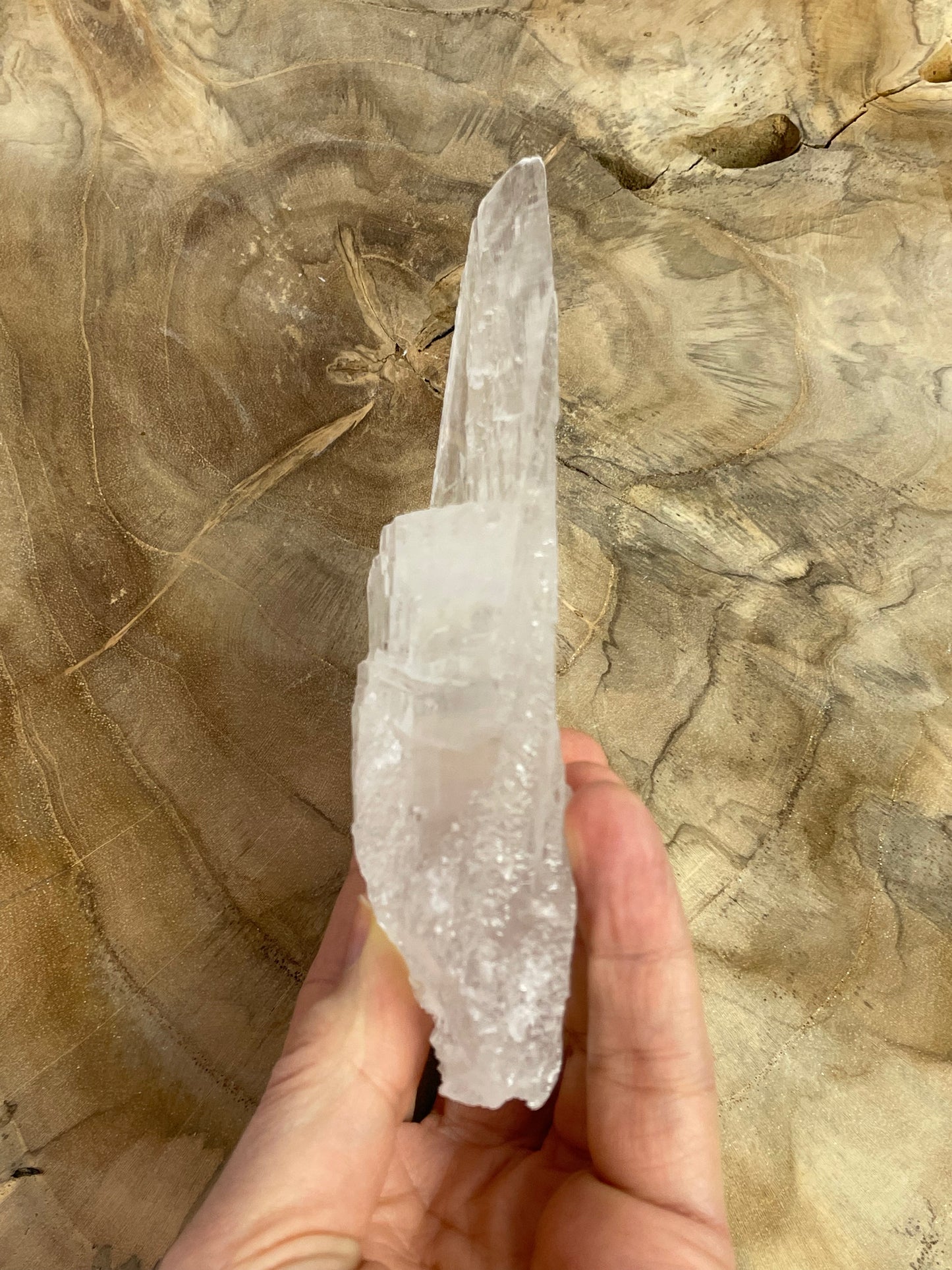 Selenite Slab from Mexico III