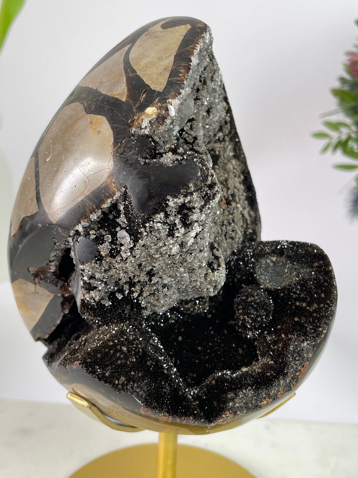 Septerian Druzy Egg with Quartz Crystal on Stand Large