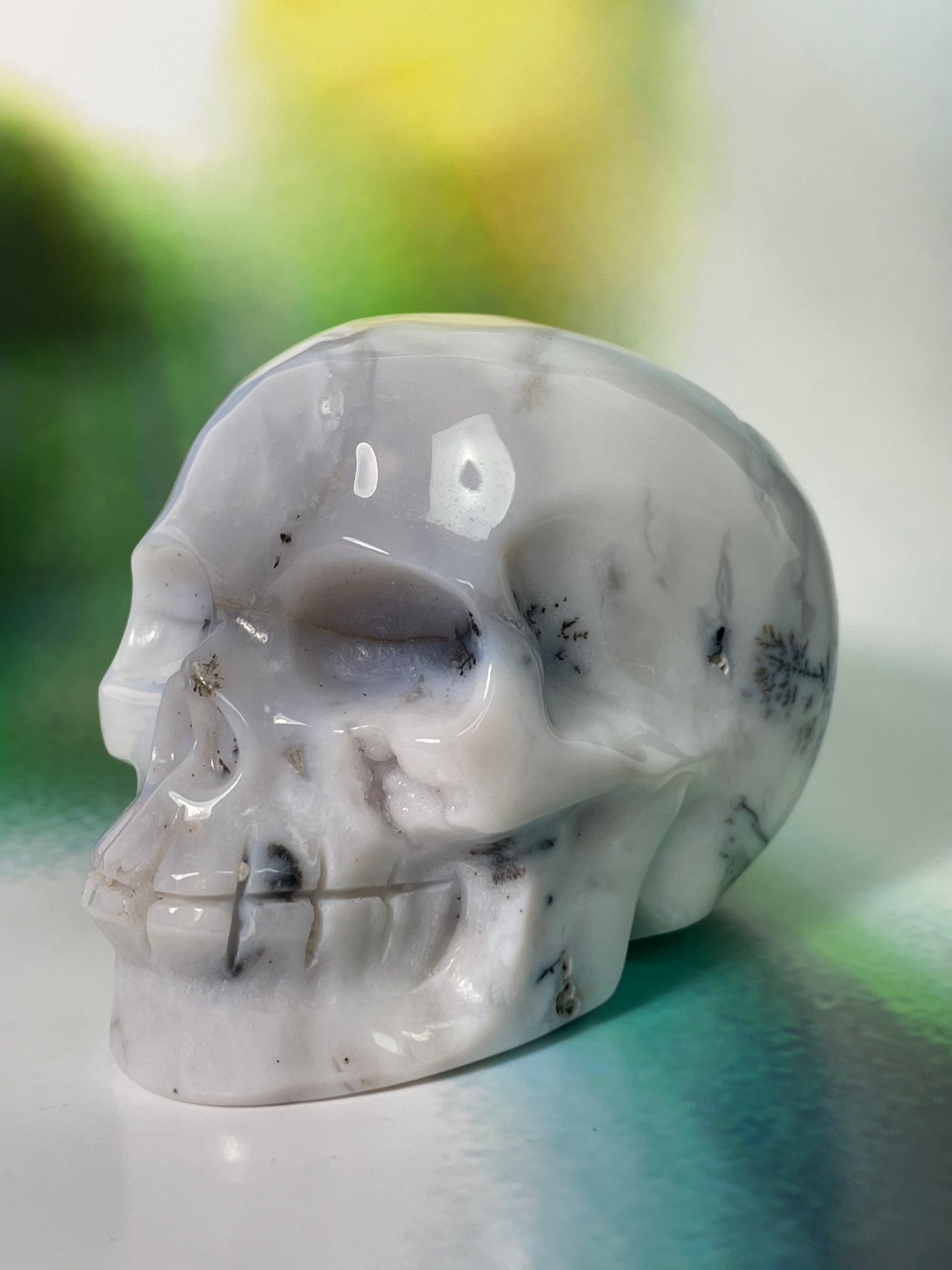 Dentritic Agate Skull L