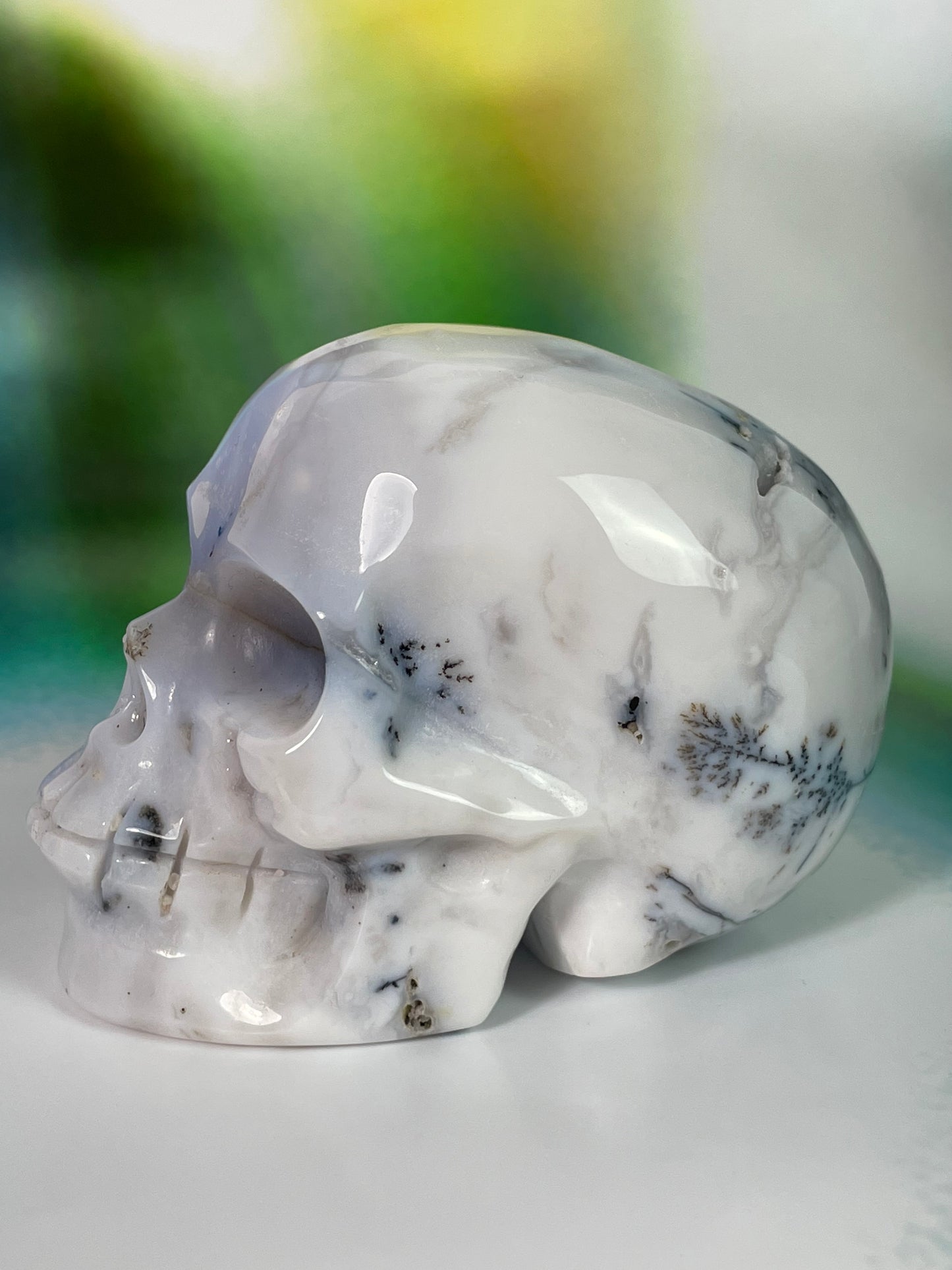 Dentritic Agate Skull L