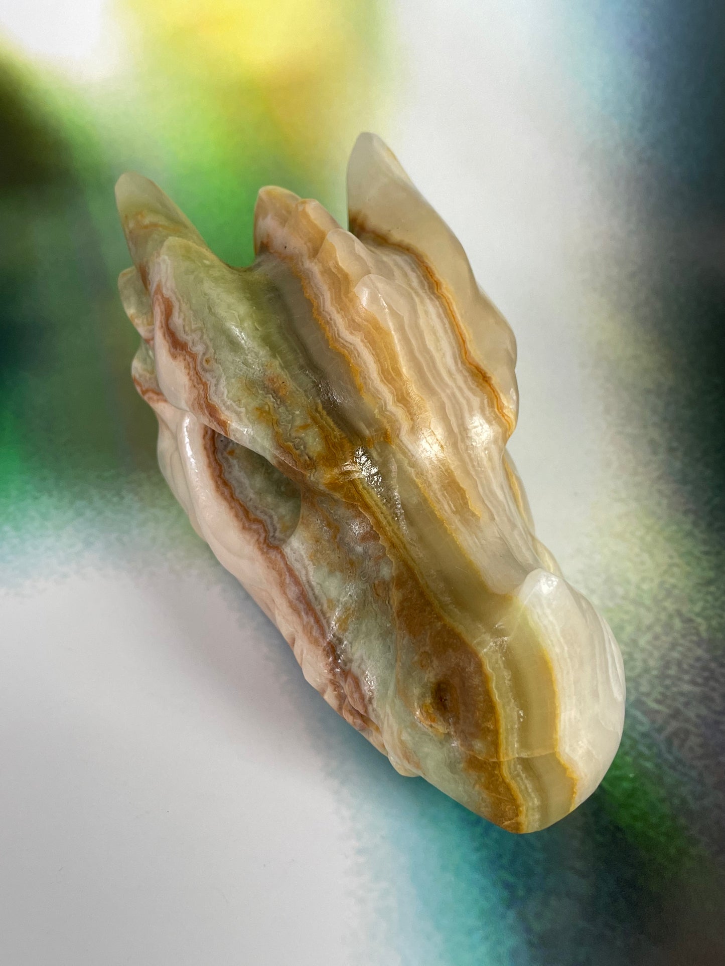 Jade Dragon with Mixed Colors