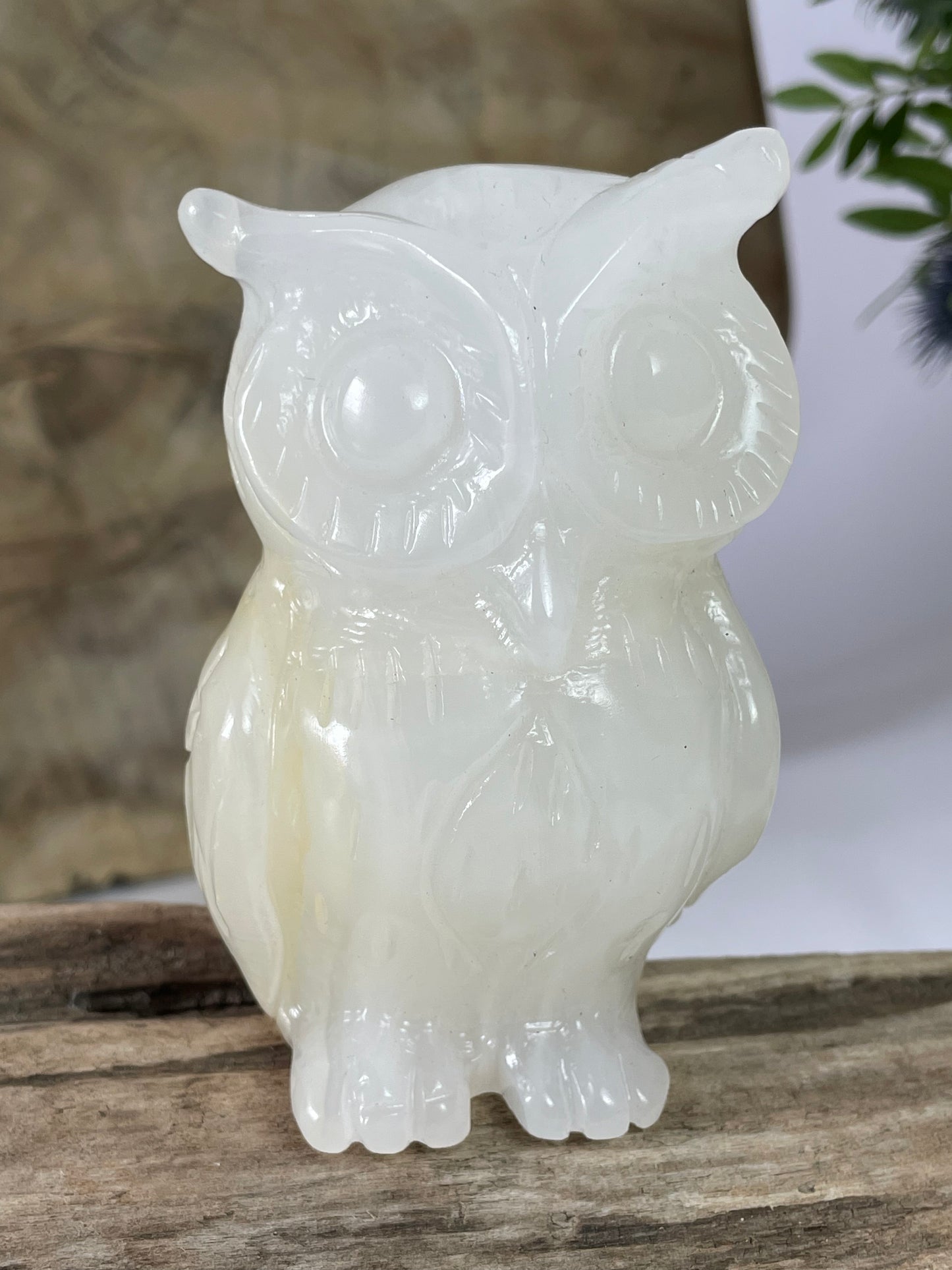 Jade Owl White II