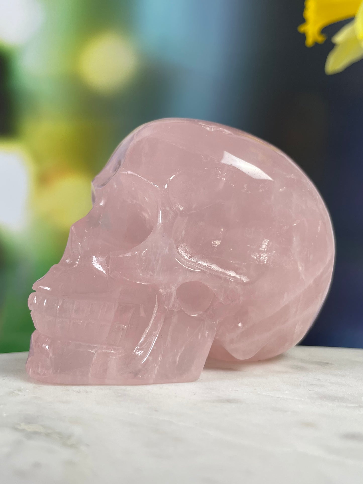 Rose Quartz Skull L