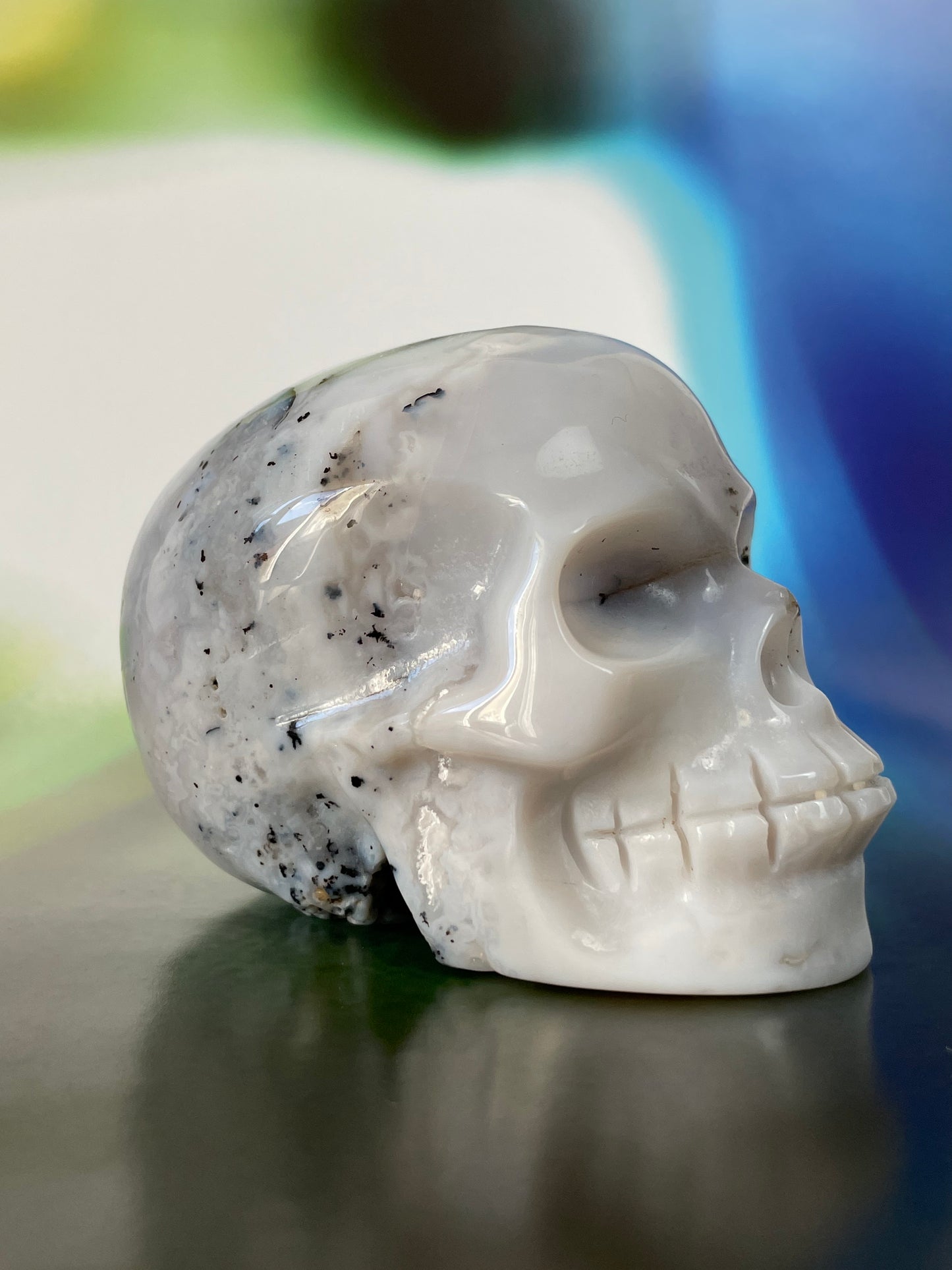 Dentritic Agate Skull L