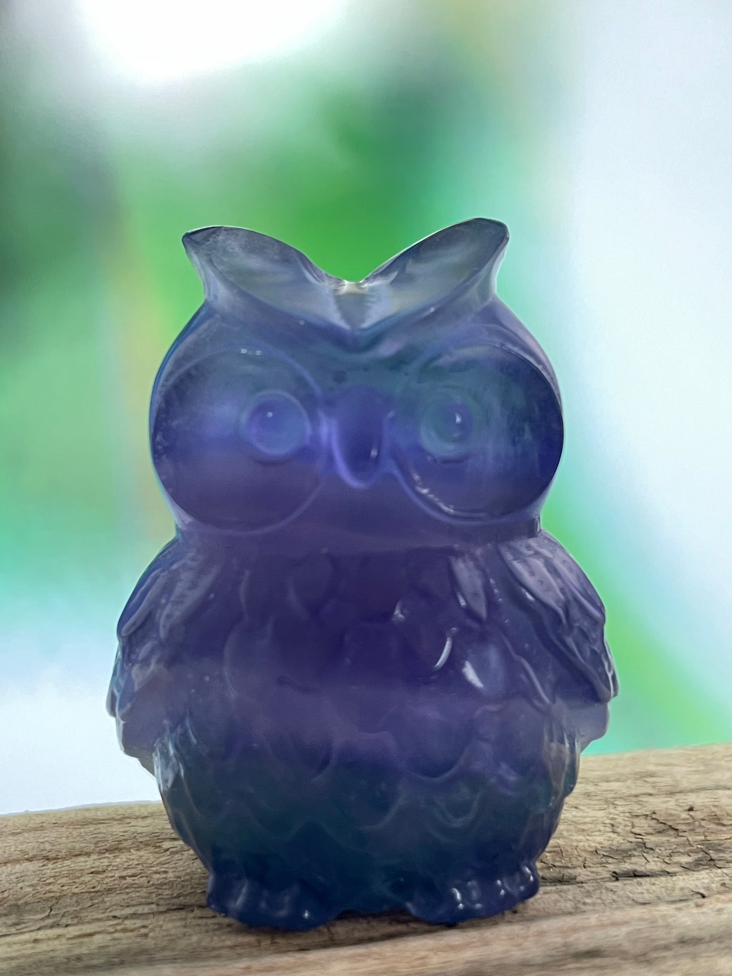 Fluorite Owl Violet-Green