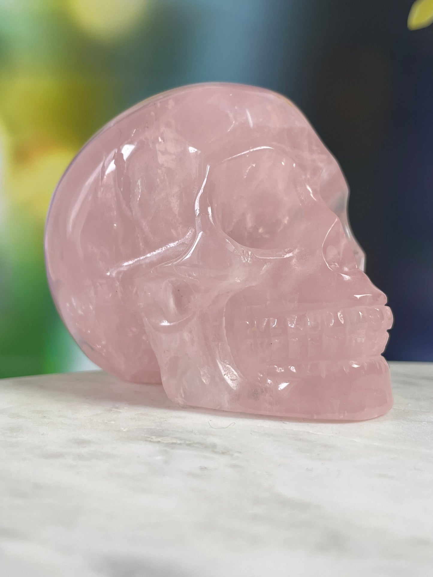 Rose Quartz Skull L
