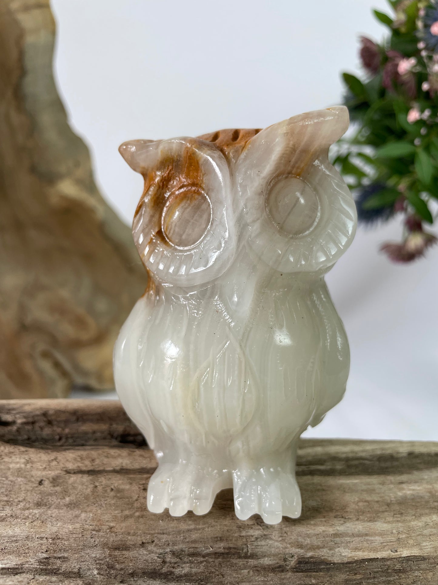 Jade Owl White Brown I