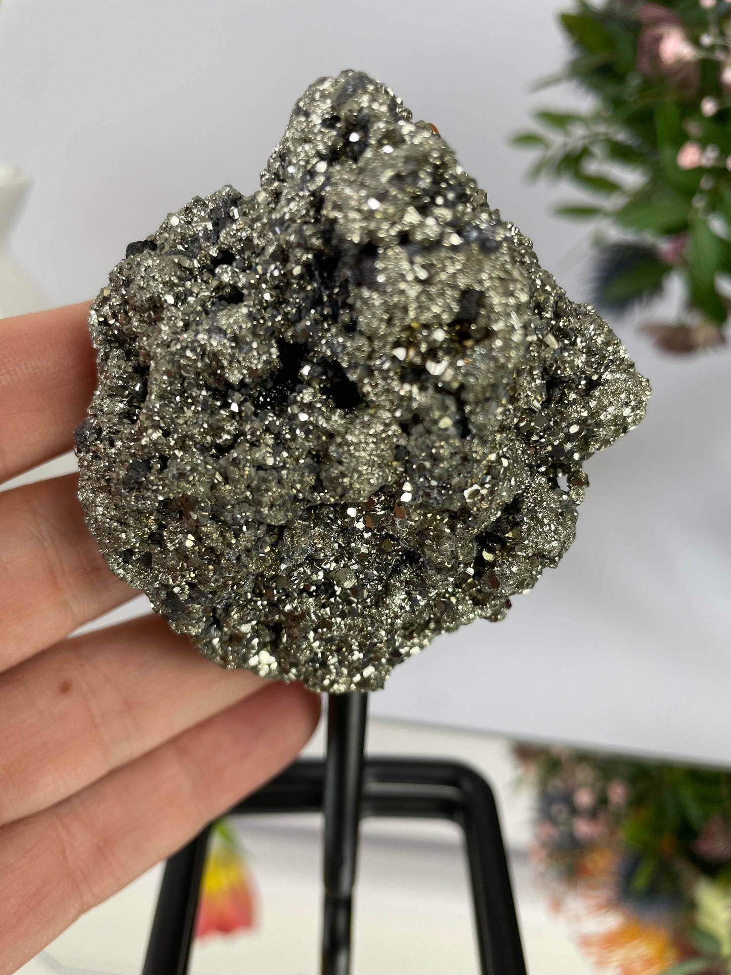 Pyrite on Stand II