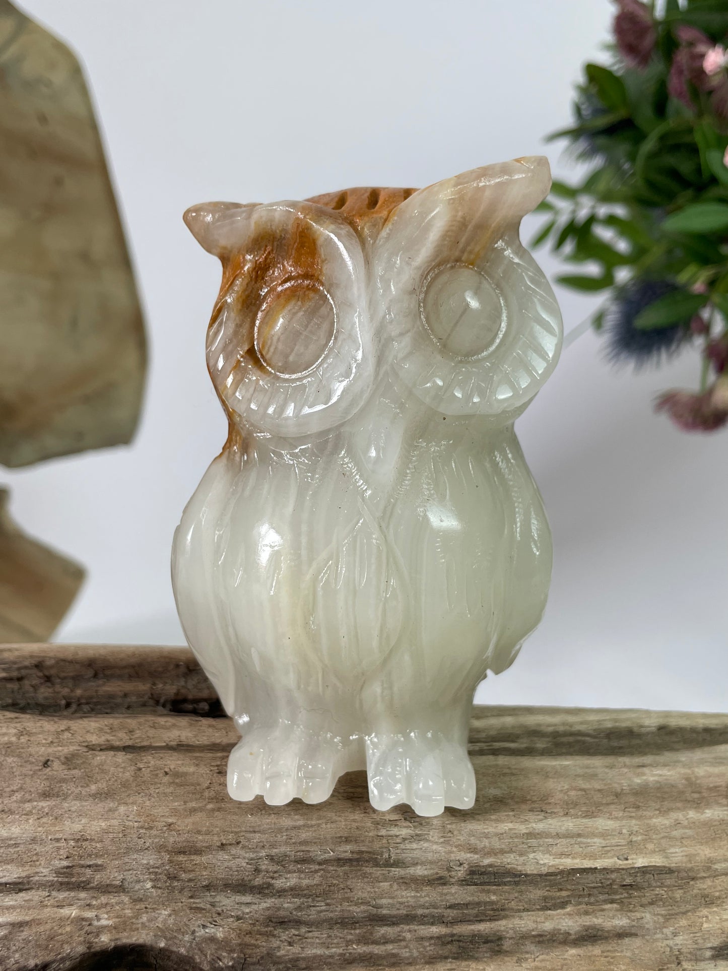 Jade Owl White Brown I