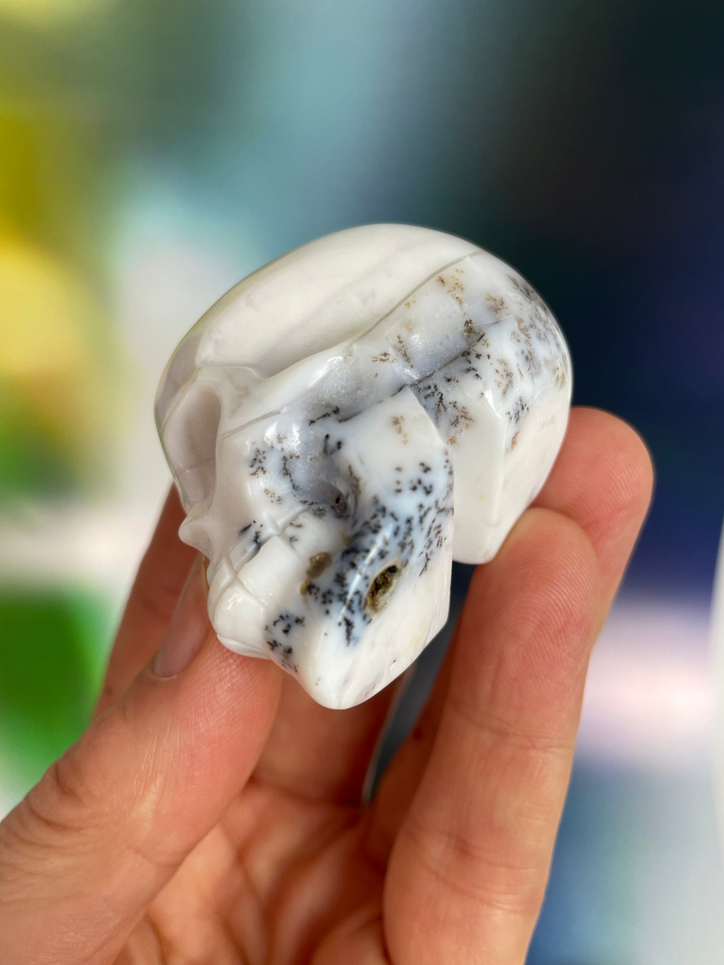 Dentritic Agate Skull S