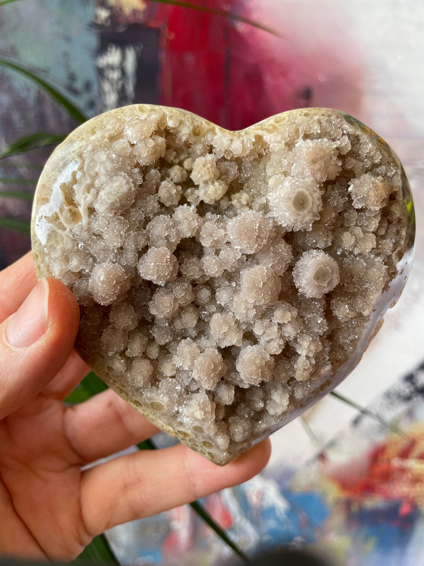 Jasper Druzy Yellow with Stalactite eye and Quartz