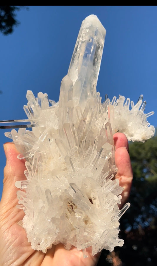 Lemurian Colombian Quartz Cluster