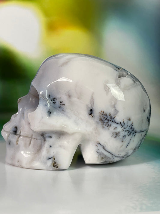 Dentritic Agate Skull L