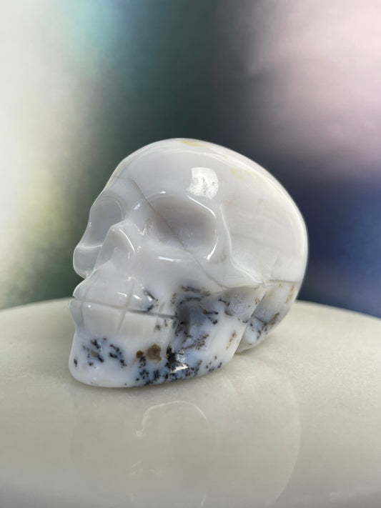 Dentritic Agate Skull S