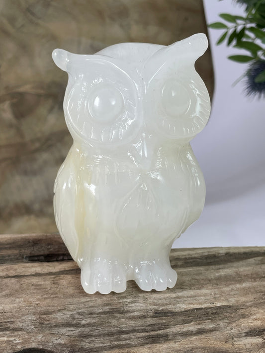 Jade Owl White II