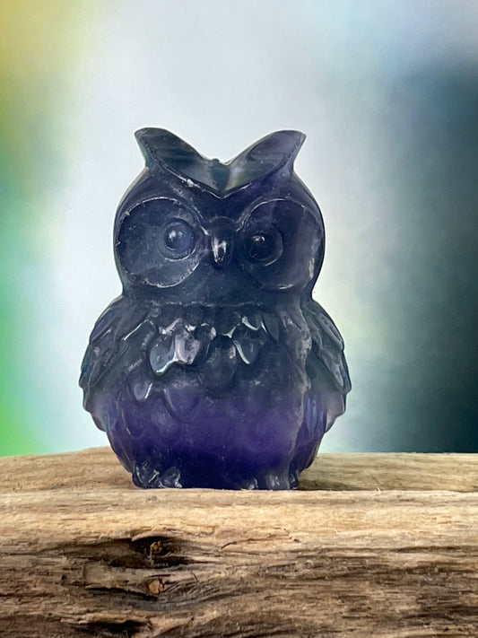 Fluorite Owl Purple Lavender