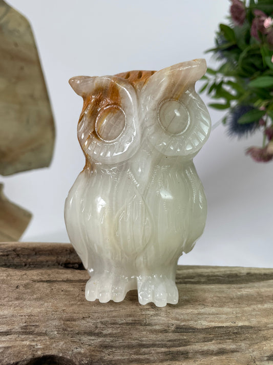 Jade Owl  White Brown I